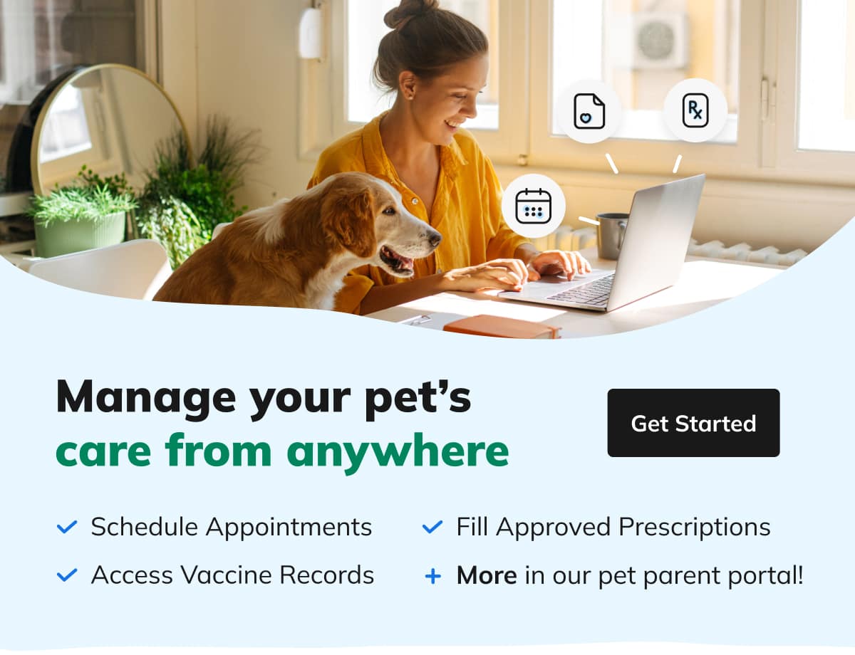 GPC_PetParentPortal_PracticeEmailHeader